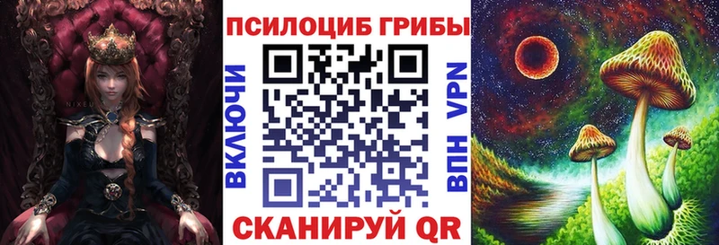 Галлюциногенные грибы Psilocybine cubensis  Норильск 