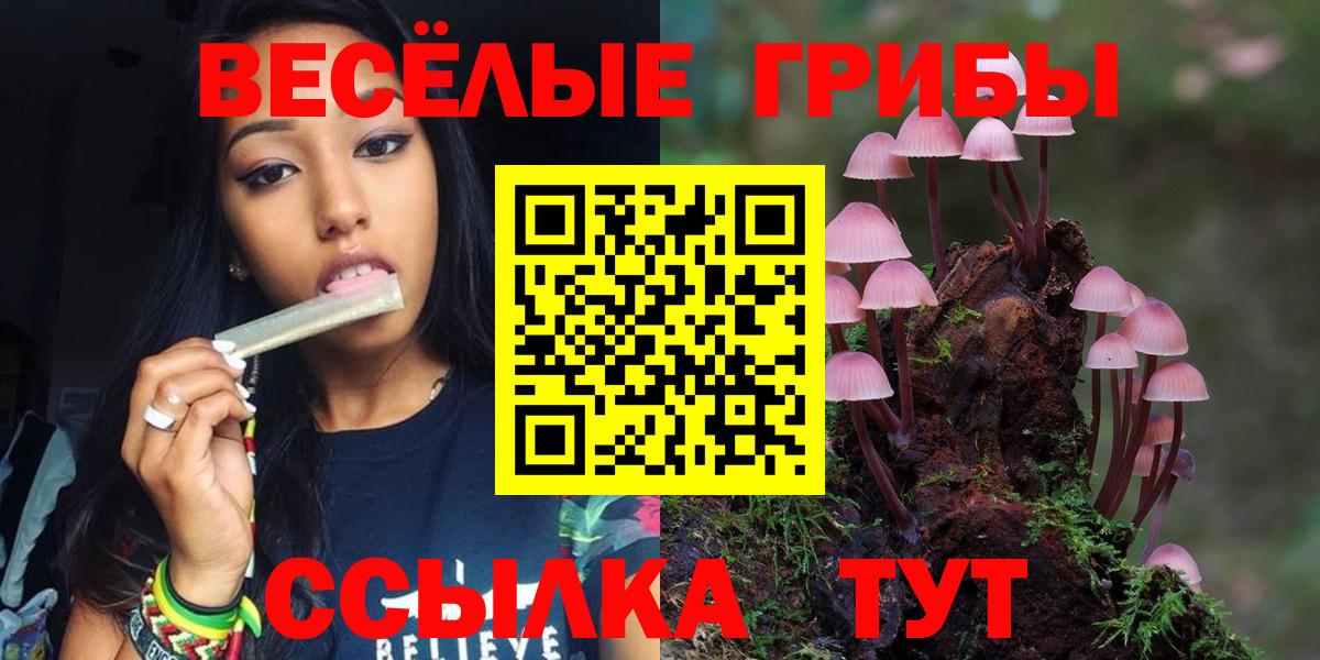Галлюциногенные грибы Magic Shrooms Норильск